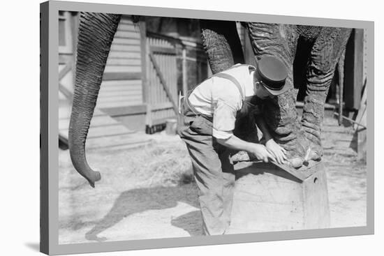 Elephant Pedicure-null-Stretched Canvas