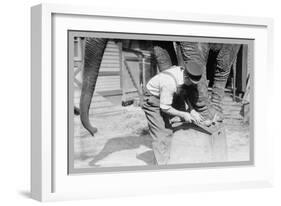 Elephant Pedicure-null-Framed Art Print