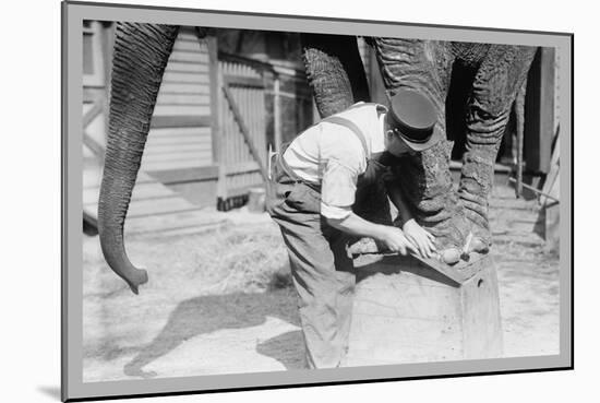 Elephant Pedicure-null-Mounted Art Print