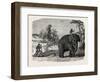 Elephant Ploughing in Ceylon, Sri Lanka-null-Framed Giclee Print