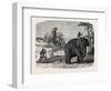 Elephant Ploughing in Ceylon, Sri Lanka-null-Framed Giclee Print