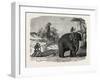 Elephant Ploughing in Ceylon, Sri Lanka-null-Framed Giclee Print