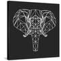 Elephant Polygon-Lisa Kroll-Stretched Canvas