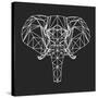 Elephant Polygon-Lisa Kroll-Stretched Canvas