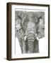 Elephant Portrait-Lucy Francis-Framed Giclee Print