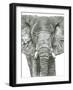 Elephant Portrait-Lucy Francis-Framed Giclee Print