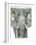 Elephant Portrait-Lucy Francis-Framed Giclee Print