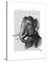 Elephant Portrait-Fab Funky-Stretched Canvas