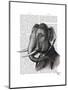 Elephant Portrait-Fab Funky-Mounted Art Print