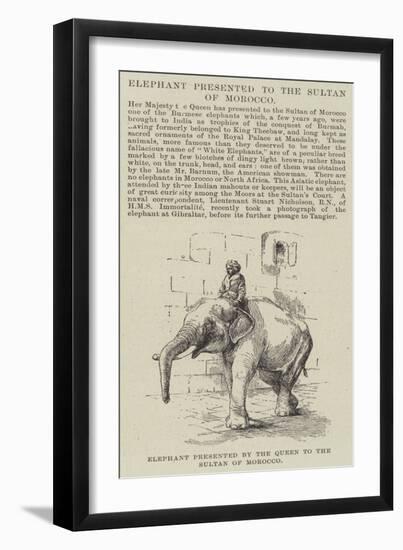 Elephant Presented by the Queen to the Sultan of Morocco-null-Framed Premium Giclee Print