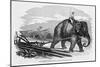 Elephant Pulling Plow-null-Mounted Giclee Print