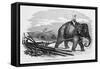 Elephant Pulling Plow-null-Framed Stretched Canvas
