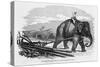 Elephant Pulling Plow-null-Stretched Canvas