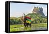 Elephant ride with Lion Rock, Ancient Rock Fortress behind, Sigiriya, Sri Lanka-Peter Adams-Framed Stretched Canvas