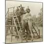 Elephant Ride-null-Mounted Photographic Print