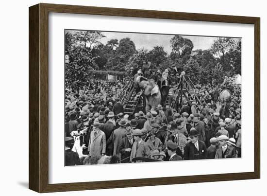 Elephant Rides at London Zoo, 1926-1927-McLeish-Framed Giclee Print