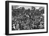 Elephant Rides at London Zoo, 1926-1927-McLeish-Framed Giclee Print