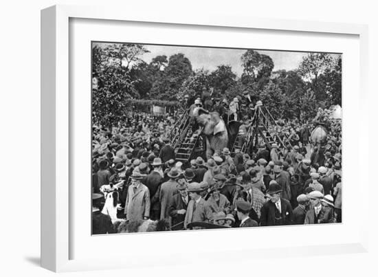 Elephant Rides at London Zoo, 1926-1927-McLeish-Framed Giclee Print