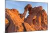 Elephant Rock at Valley of the Fire State Park, Nevada, USA-Chuck Haney-Mounted Photographic Print