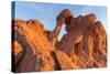 Elephant Rock at Valley of the Fire State Park, Nevada, USA-Chuck Haney-Stretched Canvas