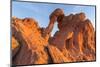 Elephant Rock at Valley of the Fire State Park, Nevada, USA-Chuck Haney-Mounted Photographic Print