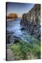 Elephant Rock, Ballintoy, County Antrim, Ulster, Northern Ireland, United Kingdom, Europe-Carsten Krieger-Stretched Canvas