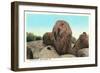 Elephant Rock, Ironton-null-Framed Premium Giclee Print