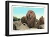 Elephant Rock, Ironton-null-Framed Premium Giclee Print