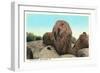 Elephant Rock, Ironton-null-Framed Premium Giclee Print