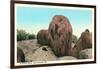 Elephant Rock, Ironton-null-Framed Art Print