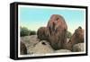 Elephant Rock, Ironton-null-Framed Stretched Canvas