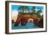 Elephant Rock on Washington Coast - Pacific Coast, WA-Lantern Press-Framed Art Print