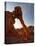 Elephant Rock, Valley of Fire State Park, Nevada, USA-Don Grall-Stretched Canvas