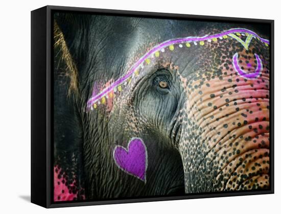 Elephant's Eye. Sonepur Mela, India-Mauricio Abreu-Framed Stretched Canvas