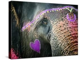 Elephant's Eye. Sonepur Mela, India-Mauricio Abreu-Stretched Canvas