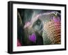 Elephant's Eye. Sonepur Mela, India-Mauricio Abreu-Framed Photographic Print