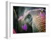 Elephant's Eye. Sonepur Mela, India-Mauricio Abreu-Framed Photographic Print