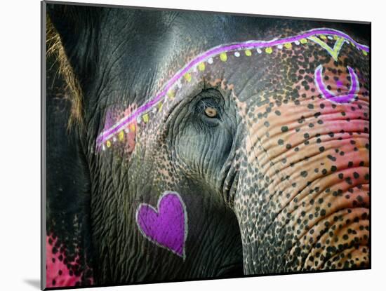 Elephant's Eye. Sonepur Mela, India-Mauricio Abreu-Mounted Photographic Print