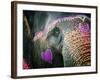 Elephant's Eye. Sonepur Mela, India-Mauricio Abreu-Framed Photographic Print