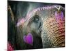 Elephant's Eye. Sonepur Mela, India-Mauricio Abreu-Mounted Photographic Print