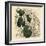 Elephant's Foot, Dioscorea Elephantipes (Female Cape Bryony, Tamus Elephantipes Faemina)-Sydenham Teast Edwards-Framed Giclee Print