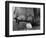 Elephant's Foot Hovering over a Chick-null-Framed Photographic Print