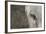 Elephant, Sabi Sabi Reserve, South Africa-Paul Souders-Framed Photographic Print