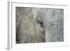 Elephant, Sabi Sabi Reserve, South Africa-Paul Souders-Framed Photographic Print