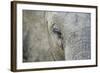 Elephant, Sabi Sabi Reserve, South Africa-Paul Souders-Framed Photographic Print