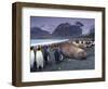 Elephant Seal and King Penguins, South Georgia Island, Antarctica-Art Wolfe-Framed Photographic Print