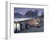 Elephant Seal and King Penguins, South Georgia Island, Antarctica-Art Wolfe-Framed Photographic Print