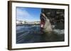 Elephant Seal, Antarctica-Paul Souders-Framed Photographic Print