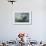 Elephant Seal on Livingstone Island, Antarctica-Paul Souders-Framed Photographic Print displayed on a wall