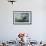 Elephant Seal on Livingstone Island, Antarctica-Paul Souders-Framed Photographic Print displayed on a wall